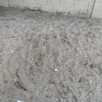 Photo from customer review