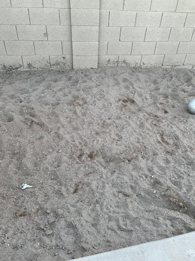 Photo from customer review